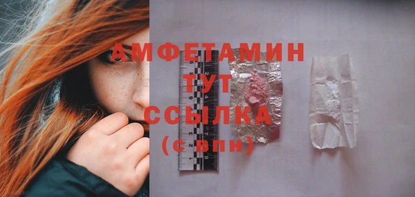 дмт Инта