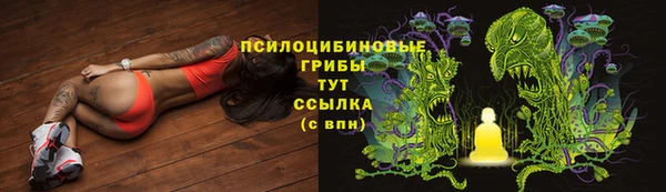 MDMA Инсар