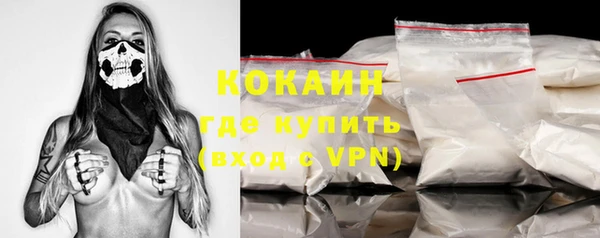 дмт Инта