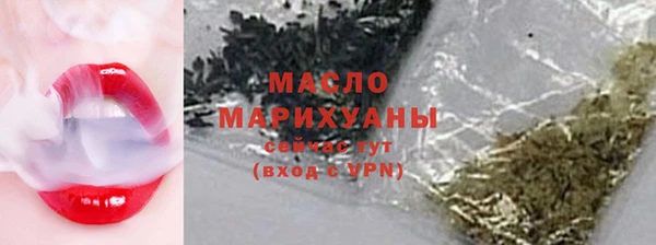 дмт Инта