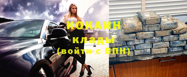 дмт Инта