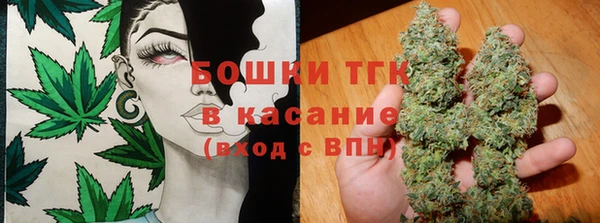 дмт Инта