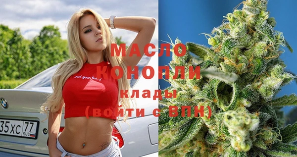 дмт Инта