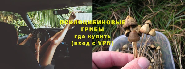 дмт Инта